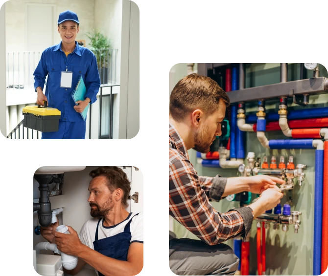 Market Fit Solution